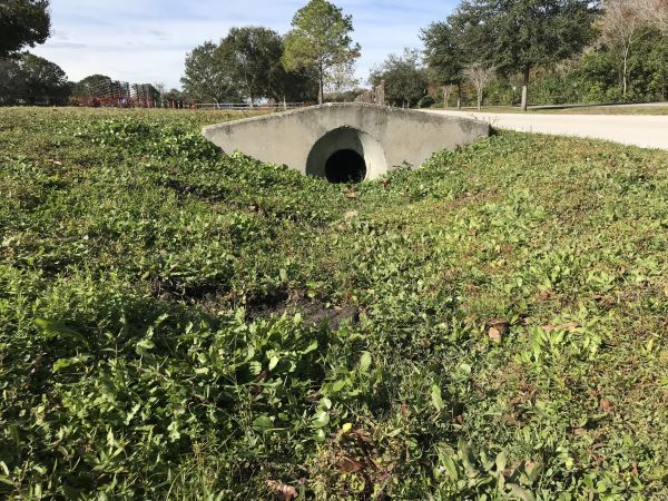 Cost of Swale Drainage Service in Monument
